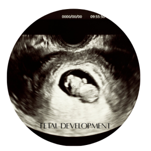 🧑⚕️Discover The Hidden Benefits of Iodine: Why You Need This Essential Mineral 5 Fetal Development