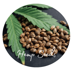 🌱 7 Seeds That You Need In Your Pantry 6 Hemp Seeds for health