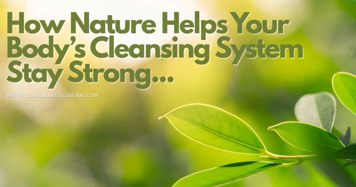 How Nature Helps Your Bodys Cleansing System Stay Str