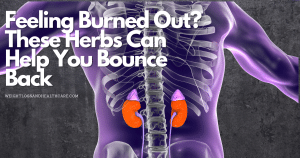 🌿 “Stressed Out? Try These Top Herbs for Adrenal Support”