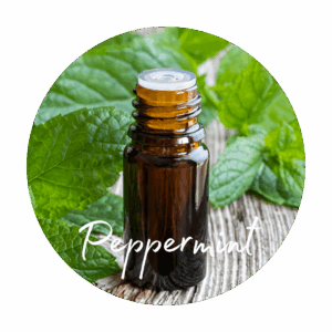 Peppermint Essential Oil