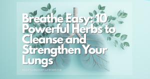 🫁 Breathe Easy: The Top 10 Herbs for Lung Health