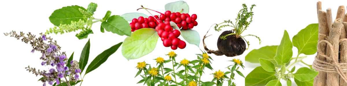 ♂ ♀ Can you balance out your hormones naturally? Yes With These Herbs 3 6 herbs you can use to balance out hormones