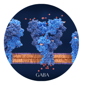 GABA
