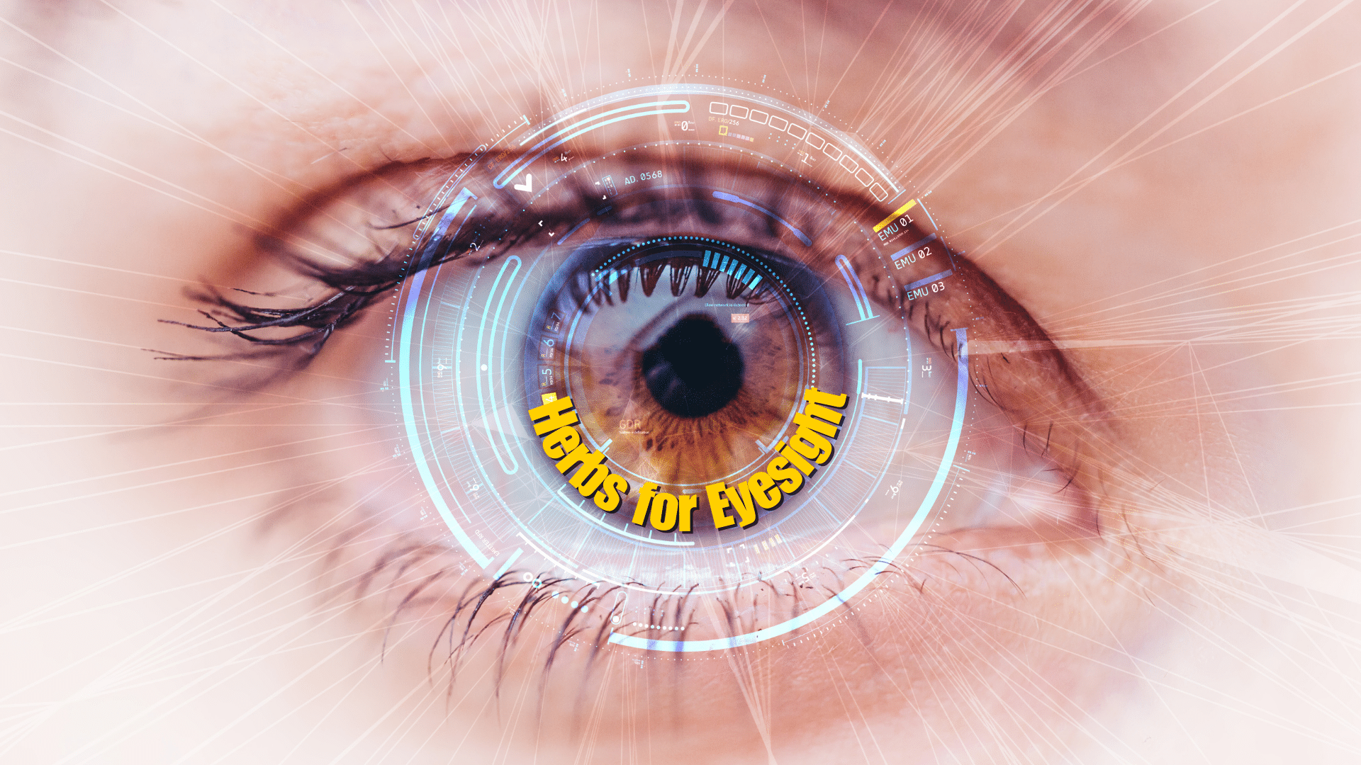 👀"Herbal Solutions for Healthy Eyes: A Comprehensive Guide" 2 Which leaf is best for eyesight?