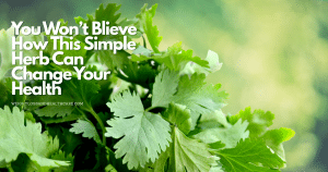 🌿 Can Cilantro Really Detox?