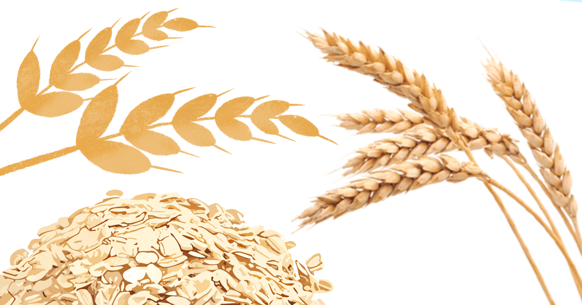 🍜 Can high cholesterol be reversed with diet? 3 barley,oats legumes for cholesterol