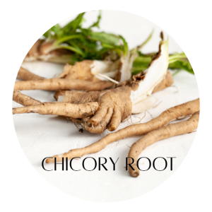 Herbal Remedies for Liver Health 11 Chicory Root