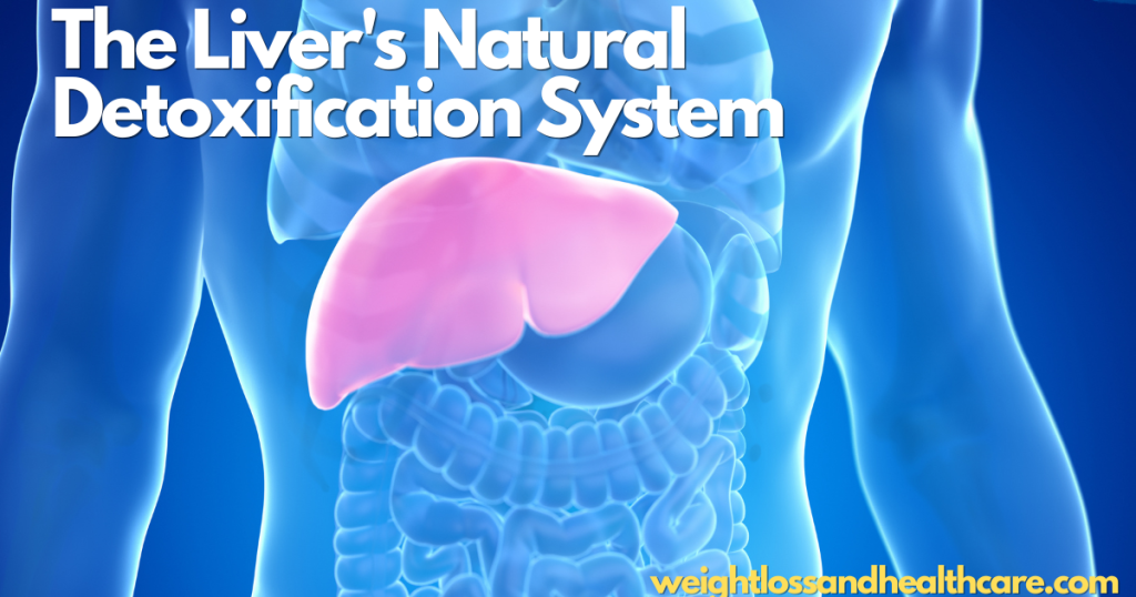 Herbal Remedies for Liver Health 1 what is the Liver's Natural Detoxification System